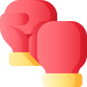 sports and competition,boxer,sports,glove,fight,fighting,boxing gloves,boxing glove